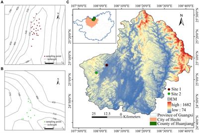 Diversity and soil chemical properties jointly explained the basal area in karst forest